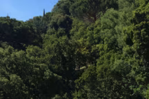 Je veux une terrasse dépaysante !