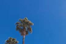 Que faire à Hyères, la belle balnéaire ?