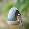 Accueillir les oiseaux dans le jardin
