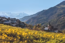 Un été au grand air : évasion dans la vallée de Courchevel