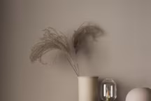 Adopter la couleur grège, le nouveau blanc en décoration