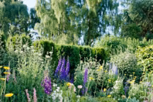 Romantique et sauvage : adoptez le style du jardin anglais chez vous