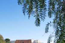 Qu'importe la taille du jardin, aujourd'hui la piscine s'installe partout comme une bulle de détente et d'évasion. Réalisation Slowgarden.