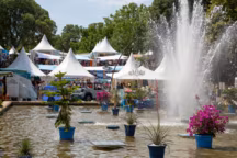 Salon Vivre Côté Sud