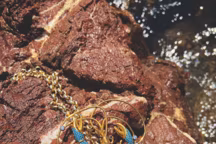 "Lobster Necklace Turquoise», pendentif et chaîne, plaqué or, homard incrusté de turquoises synthétiques, clin d'œil au surréalisme, fabriqué à la main dans l'atelier de la créatrice à Istanbul, Begüm Khan.