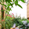 Une végétation luxuriante dynamise cette terrasse citadine.