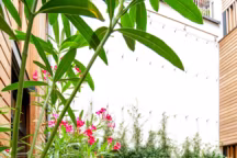 Une végétation luxuriante dynamise cette terrasse citadine.