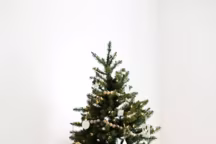 Un sapin de Noël avec une décoration nature