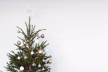 Sapin de Noël blanc : 13 inspirations pour des fêtes féériques