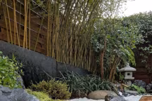 Le jardin de mousse fait partie des jardins japonais. Réalisation Sandrine Milic.