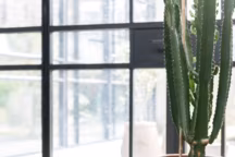 Pouf Eline, en polyester et bois, hauteur 43 cm, disponible en 3 couleurs, 89 euros, H&H.