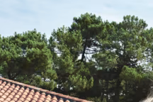 Jardin et terrasse à l'heure méditerranéenne