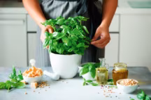 Plantes aromatiques : 15 choses que vous ne saviez peut-être pas !