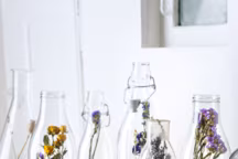 Comment décorer sa maison avec des fleurs ?