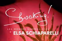 Détail de la Cape " Phoebus » en laine, soie et broderie. Elsa Schiaparelli. Hiver 1937-1938.