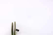 Le buffet scandinave s'impose dans la maison !