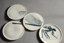 Assiettes de la collection " Insectes », oeuvre poétique et gastronomique, à partir de 80 € les quatre.