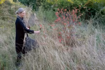 Une maison poétique tenue par une artiste du végétal