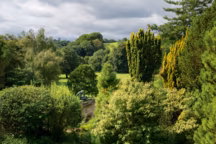 Vue sur la vallée et sa rivière bordée de saules, de peupliers, de chênes verts, ou Quercus ilex ; statue de bronze romaine et, au premier plan, des Clerodendrum trichotomum et Taxus baccata (ifs).