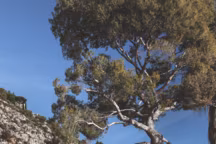 Découvrir Menton : les lieux incontournables et bonnes adresses à visiter