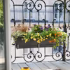 Jardinière balcon : 12 idées de compositions florales