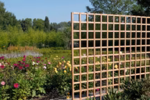 20 treillis et canisses déco et fonctionnels