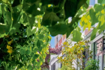 Proche du canal Saint-Martin, visite de la maison familiale d'un créateur de mode !