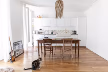 Rénovation appartement : 50 m2 remis à neuf pour 25 000 euros