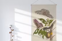 Les soldes déco repérées chez nos marques favorites