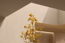 Publi Laminam
En photo : collection Gemini, finition Flora et Pelle, Laminam.