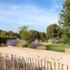 Au coeur des vignes, le jardin provençal chic qui invite à la détente