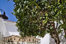 Une terrasse, deux espaces à vivre