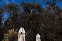 Chaises longues en plastique blanc au bord de la piscine.