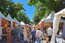 Salon Vivre Côté Sud 2025 : au coeur de l'événement en images