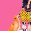 Collaboration collection capsule Longchamp et Toiletpaper