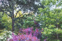 L'Étang de Launay : le merveilleux jardin d'un antiquaire passionné