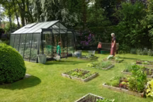 L'été est la période idéale pour semer, repiquer et planter de nombreux légumes qui aiment la chaleur et le soleil, conditions idéales pour un développement rapide.