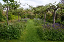 Choisir un type de jardin peut donner un fil conducteur à l'élaboration d'un espace extérieur, cependant il peut aussi être hybride : la liberté créative avant tout !