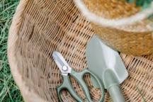 News jardin
>> Photo Gary Barnes via Pinterest 
https://in.pinterest.com/pin/102456960270215447/