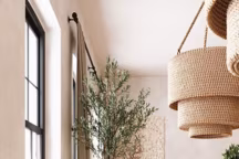 L'olivier d'intérieur, une inspiration venue du Sud