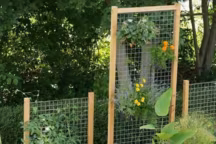 Aménager son jardin : créer des espaces distincts pour chaque envie