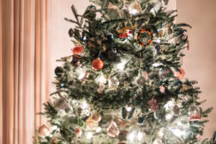 Photo de Julia Berolzheimer via Pinterest