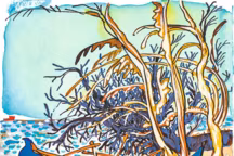 Pirogues échouées sur Juan de Nova, l'une des îles Éparses, territoire français d'outre-mer de l'océan Indien.