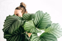 News jardin
>> Photo @vegannabelle via Pinterest 
https://in.pinterest.com/pin/102456960270215420/