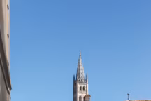 Vignobles bordelais : un voyage sensoriel entre art, histoire et gastronomie