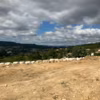 Un jardin de Provence épuré avec vue sur le Mont Ventoux