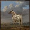 Paulus Potter (Dutch, 1625 - 1654), The Piebald Horse, about 1650–1654, Oil on canvas