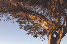 Maisons côté ouest : ces maisons de bord de mer qui nous font rêver