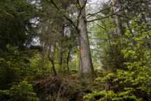 Peut-on faire confiance aux labels de la déco et des travaux ?