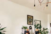 Le gel d'arrosage : des plantes en pleine forme même pendant les vacances